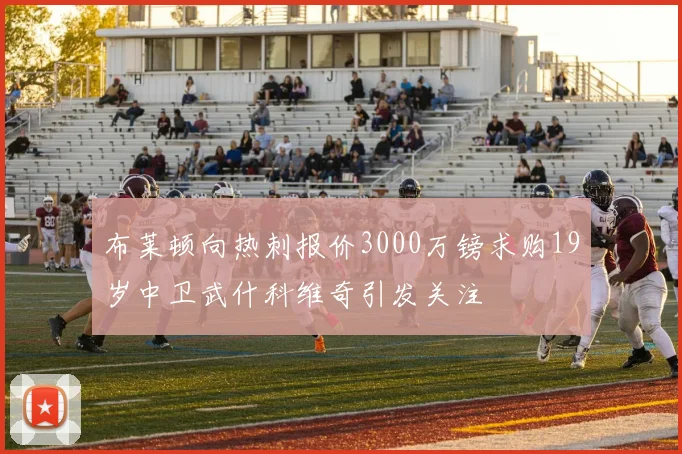 布莱顿向热刺报价3000万镑求购19岁中卫武什科维奇引发关注