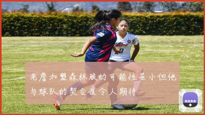 老詹加盟森林狼的可能性虽小但他与球队的契合度令人期待
