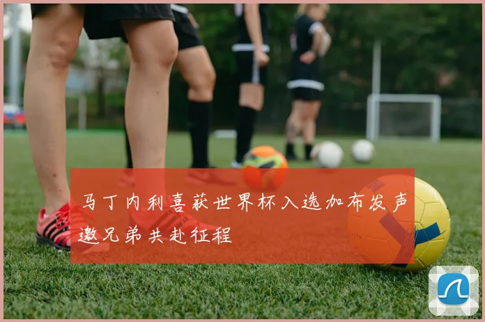 马丁内利喜获世界杯入选加布发声邀兄弟共赴征程