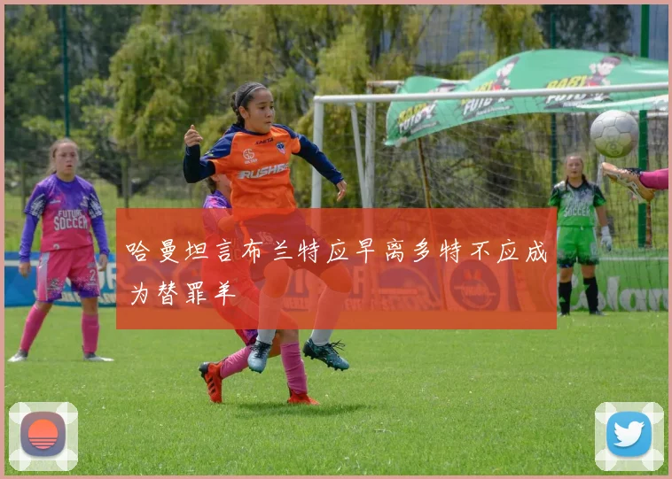 哈曼坦言布兰特应早离多特不应成为替罪羊